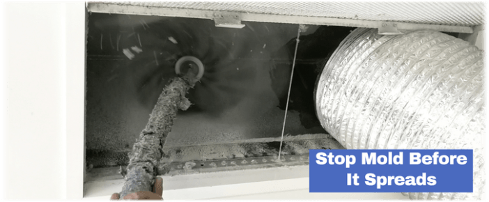 Air Duct Mold Removal in Island Lake IL