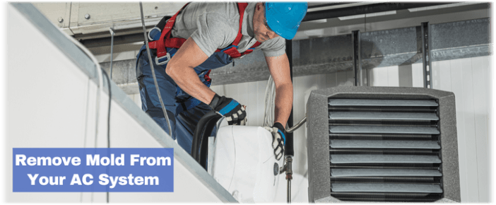 HVAC Mold Removal Island Lake IL
